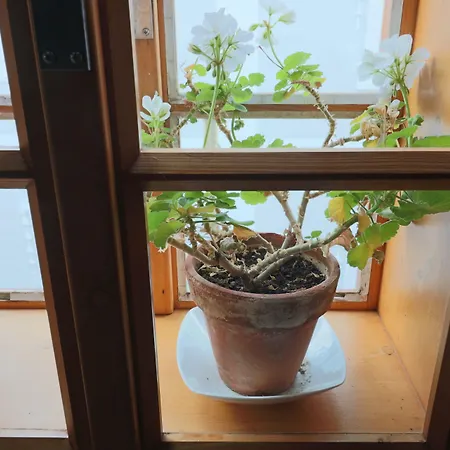 ソウケニカ 44 チェスキー クルムロフ