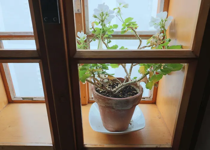 苏肯尼卡44号公寓酒店 Český Krumlov